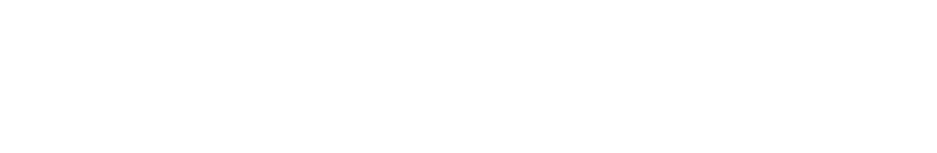 Die IT-Dienstleister